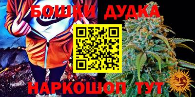 МДПВ Абинск